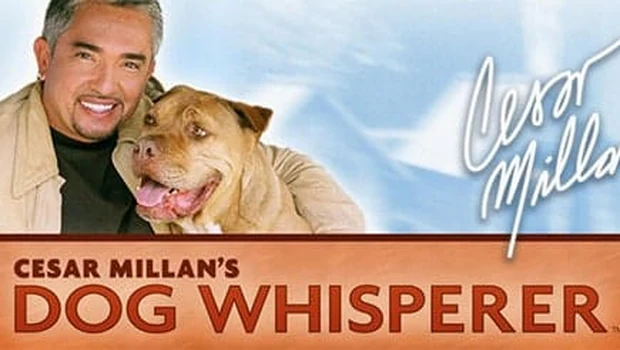 Cesar Millan’s Dog Whisperer сохранение