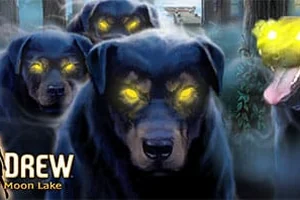 Сохранение для Nancy Drew: Ghost Dogs of Moon Lake