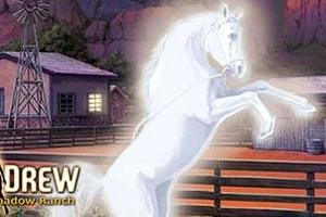 Сохранение для Nancy Drew: The Secret of Shadow Ranch