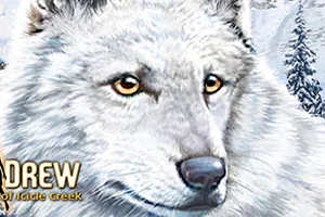 Сохранение для Nancy Drew: The White Wolf of Icicle Creek